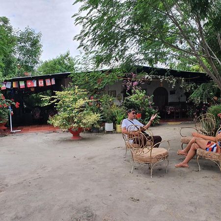 Alojamiento Casa De Campo Los Cactus ビジャビエハ エクステリア 写真