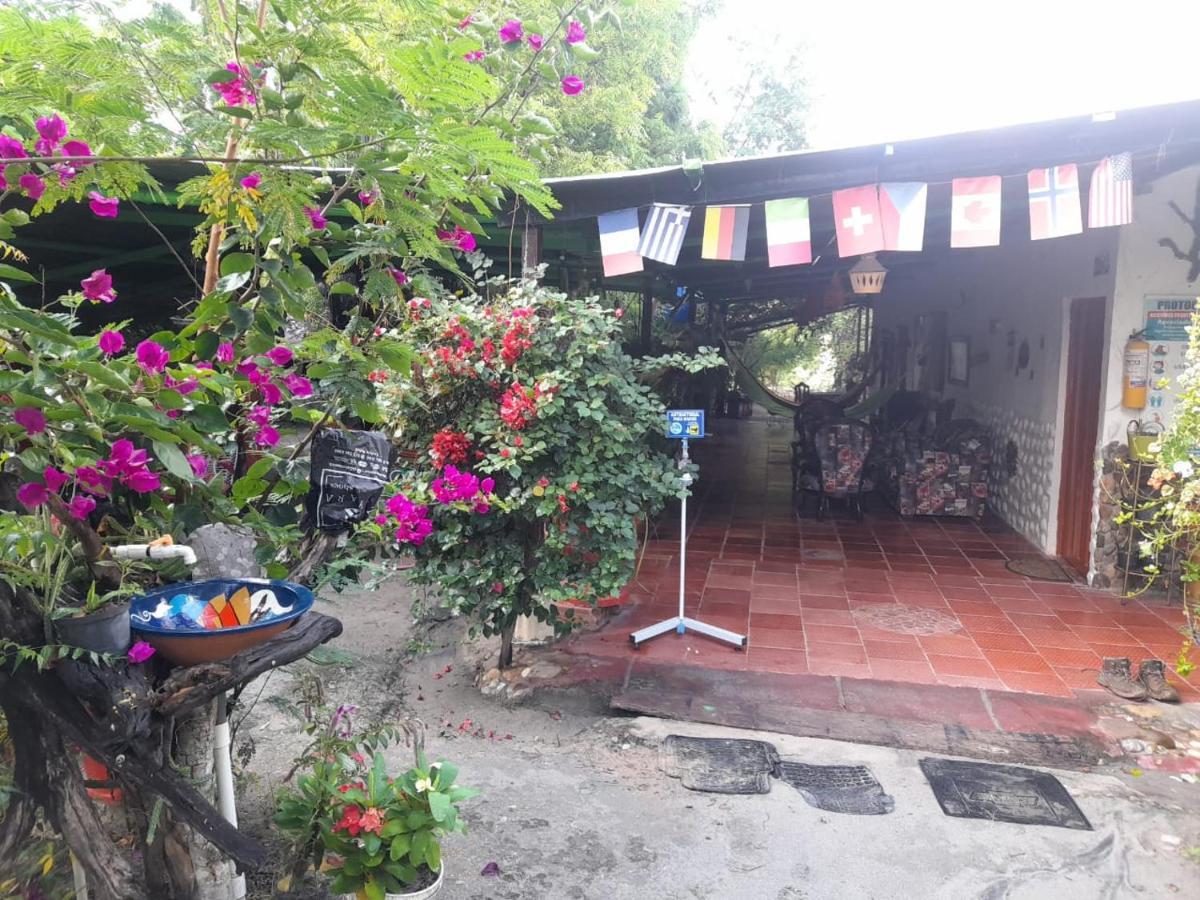 Alojamiento Casa De Campo Los Cactus ビジャビエハ エクステリア 写真