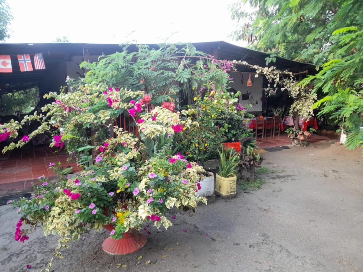 Alojamiento Casa De Campo Los Cactus ビジャビエハ エクステリア 写真