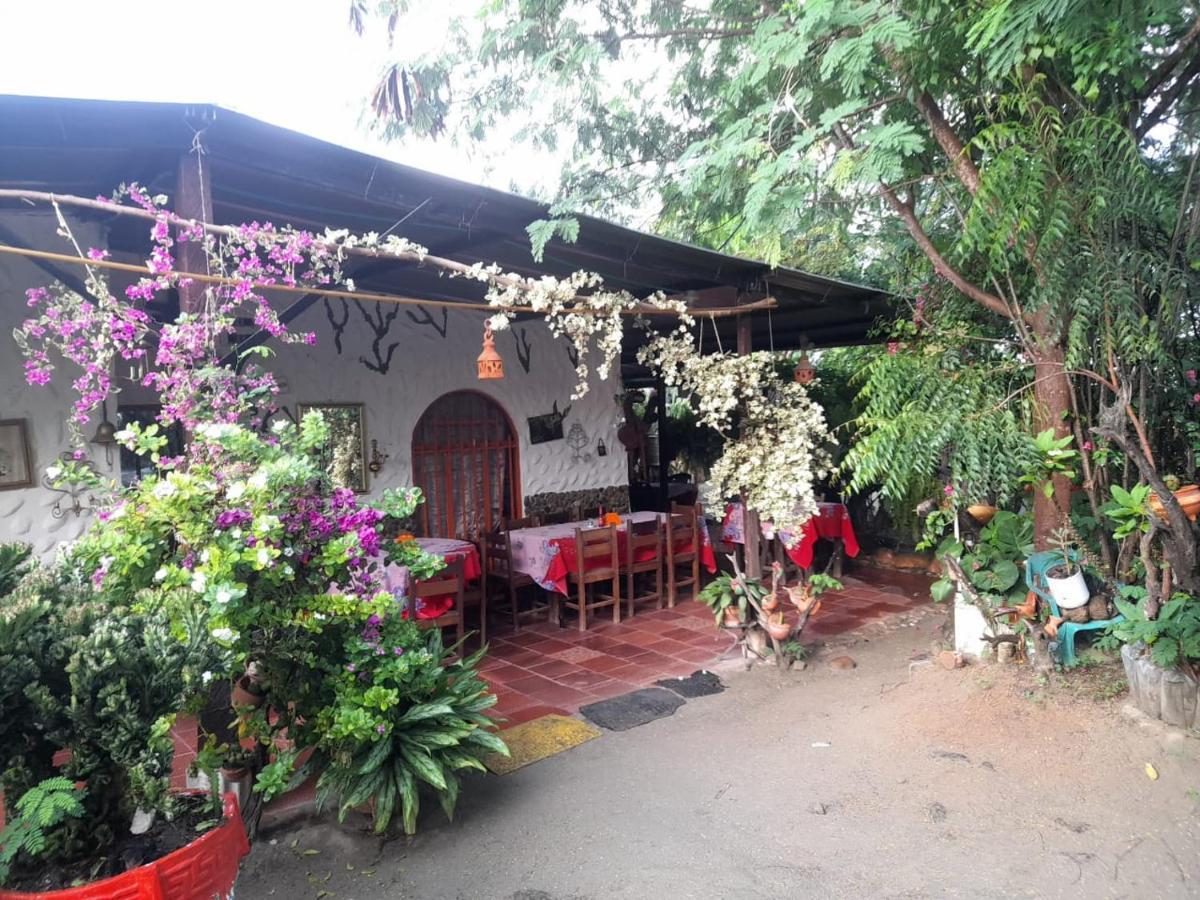 Alojamiento Casa De Campo Los Cactus ビジャビエハ エクステリア 写真