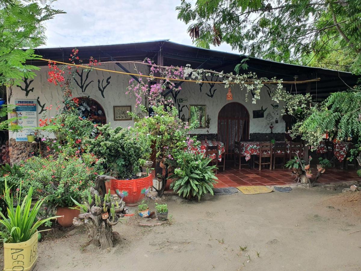 Alojamiento Casa De Campo Los Cactus ビジャビエハ エクステリア 写真