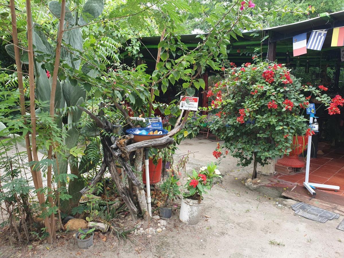 Alojamiento Casa De Campo Los Cactus ビジャビエハ エクステリア 写真
