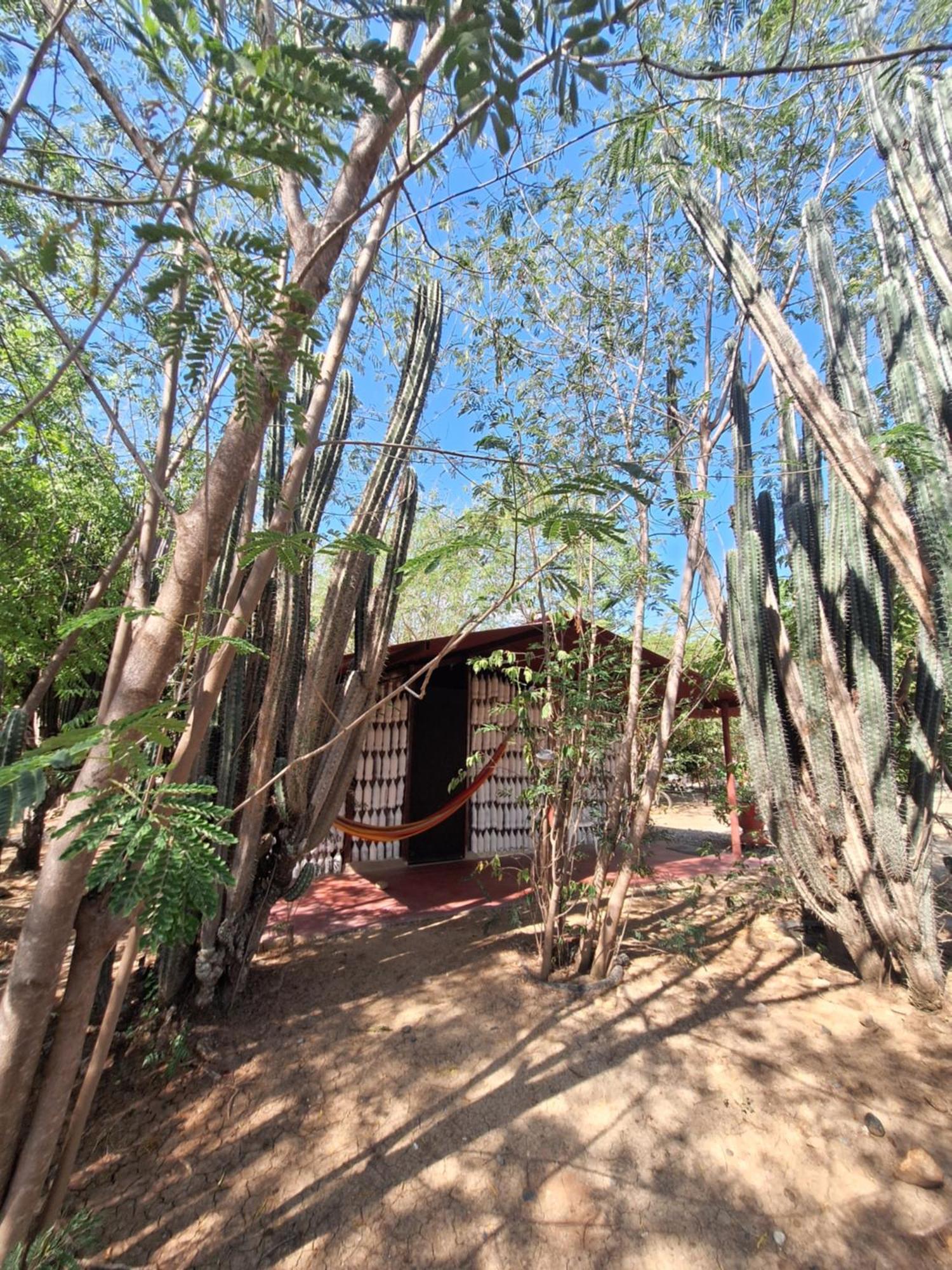 Alojamiento Casa De Campo Los Cactus ビジャビエハ エクステリア 写真