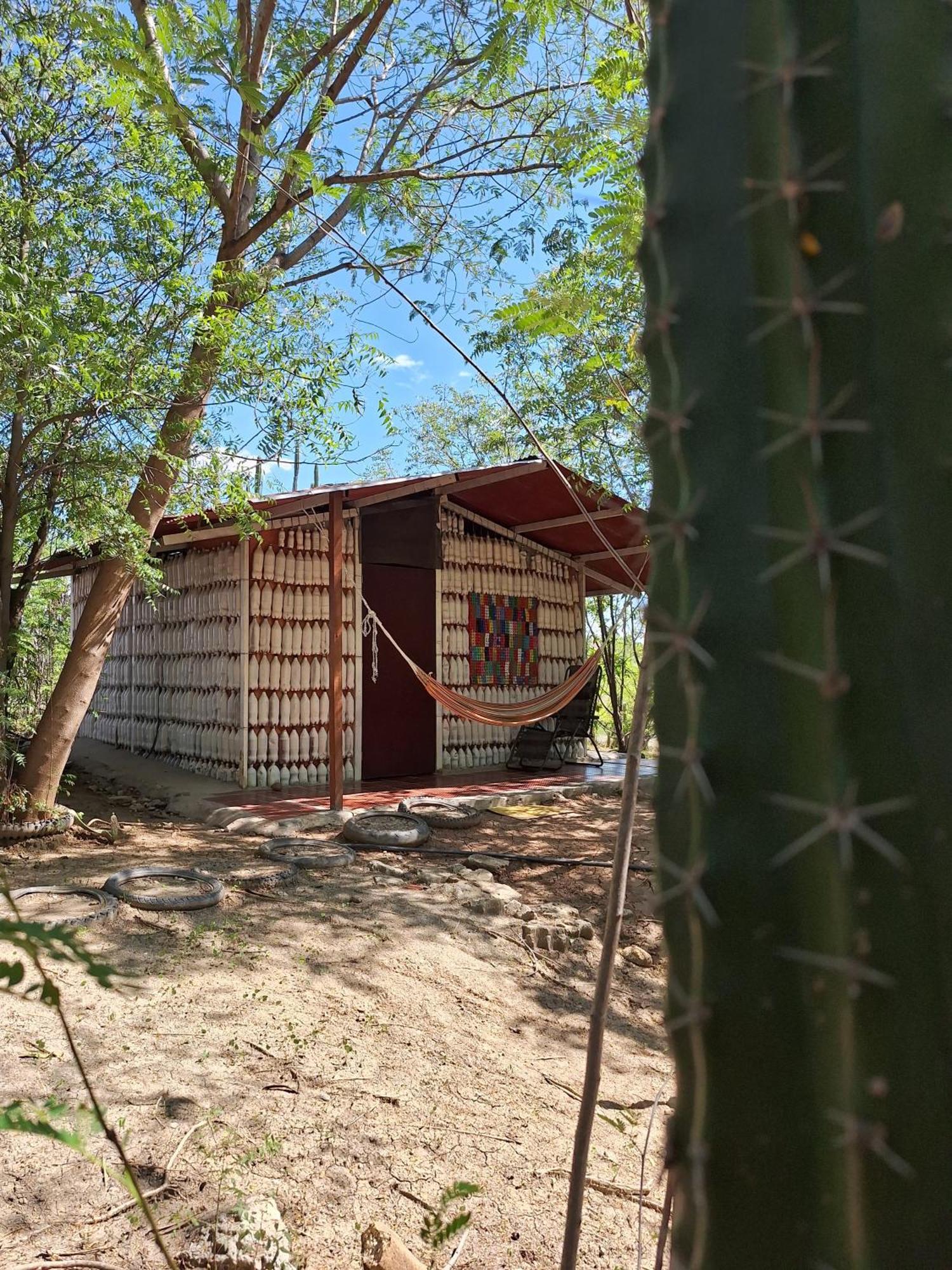 Alojamiento Casa De Campo Los Cactus ビジャビエハ エクステリア 写真
