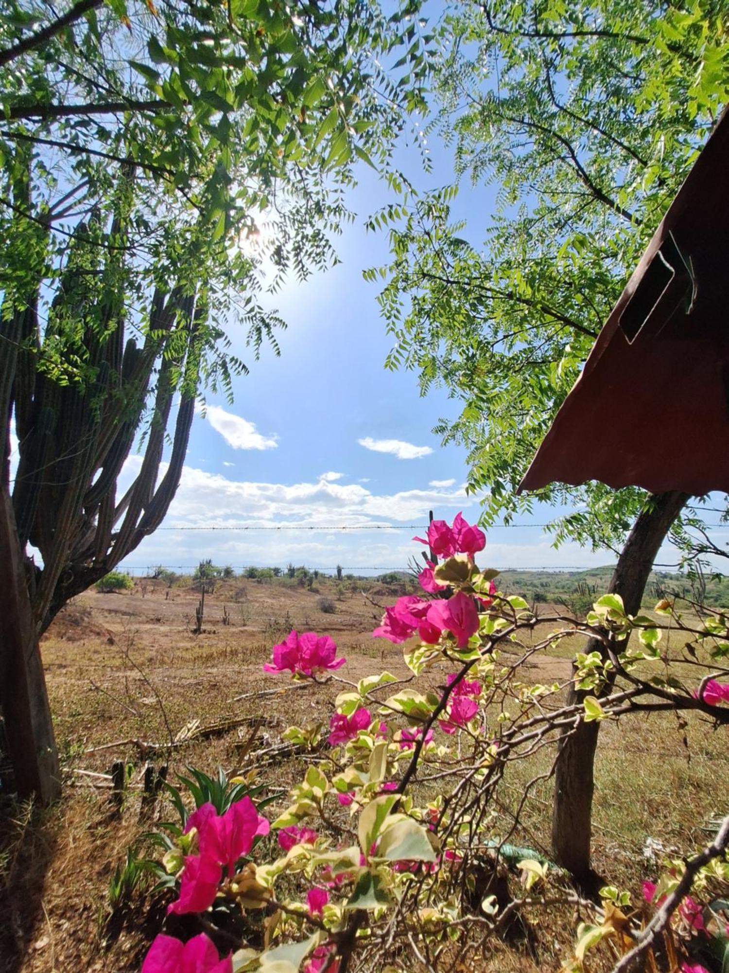 Alojamiento Casa De Campo Los Cactus ビジャビエハ エクステリア 写真