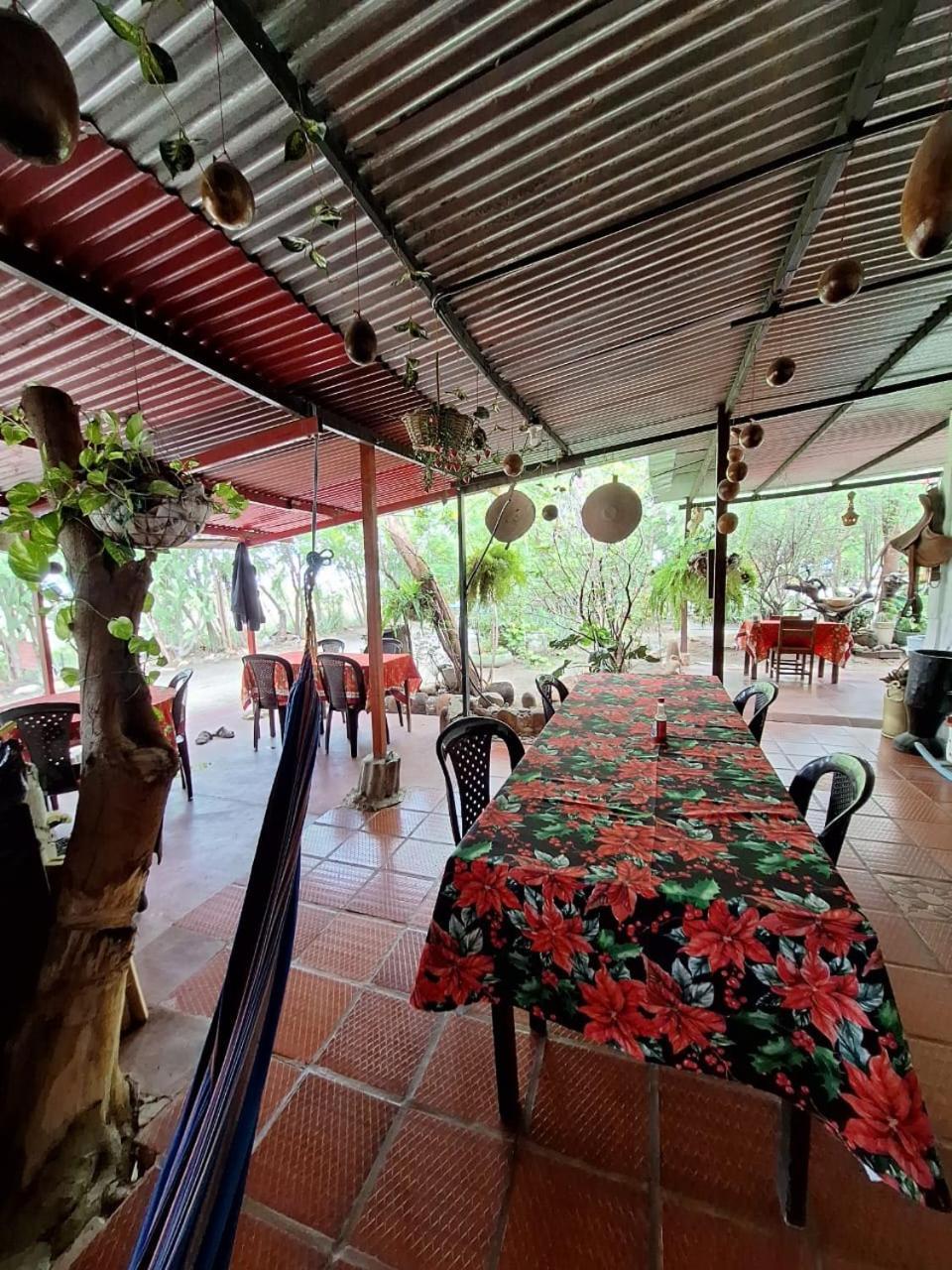 Alojamiento Casa De Campo Los Cactus ビジャビエハ エクステリア 写真