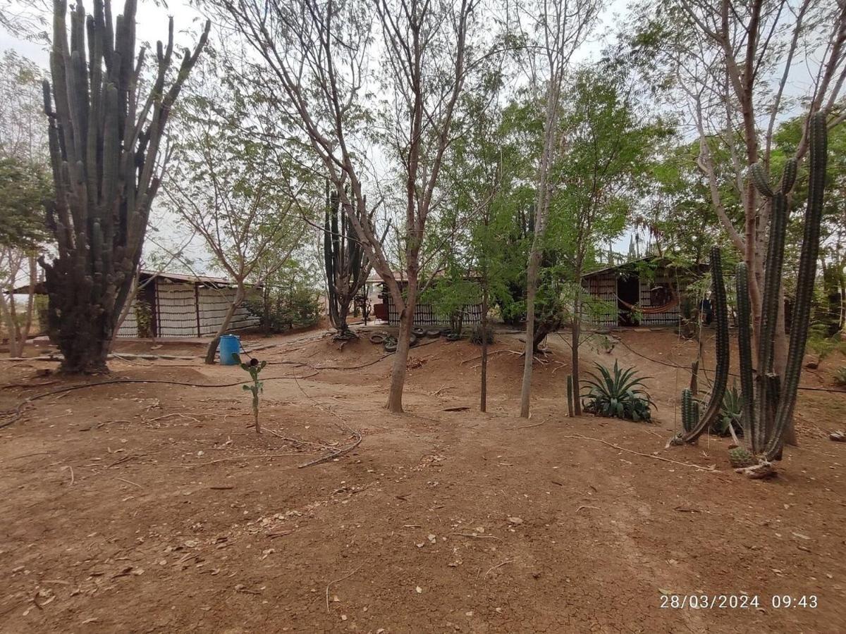 Alojamiento Casa De Campo Los Cactus ビジャビエハ エクステリア 写真