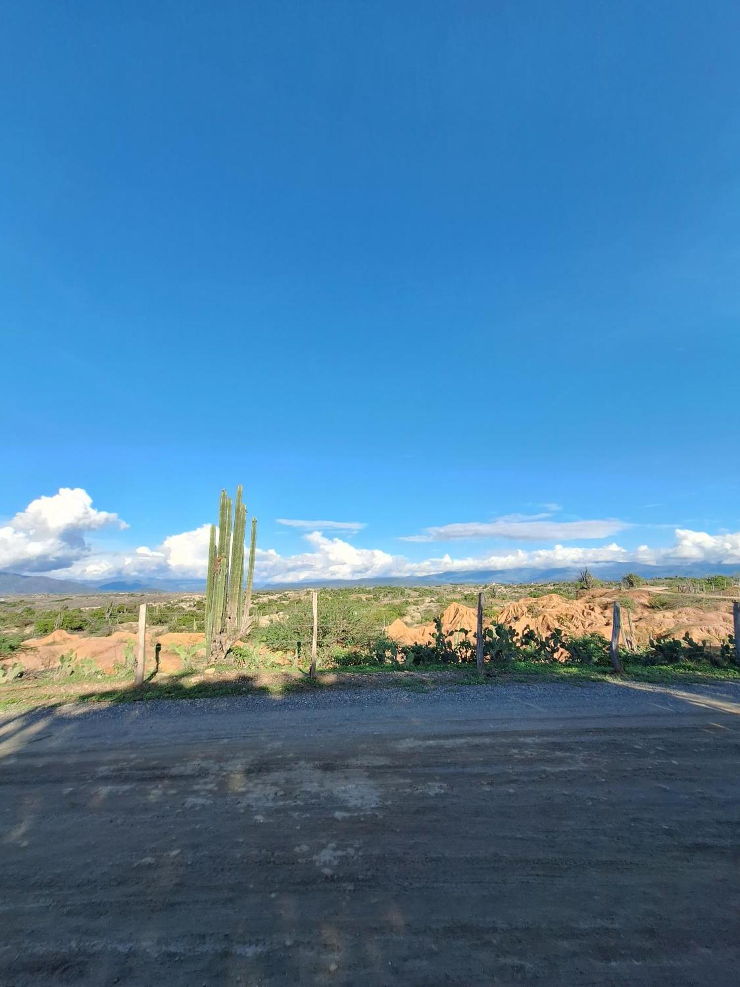 Alojamiento Casa De Campo Los Cactus ビジャビエハ エクステリア 写真