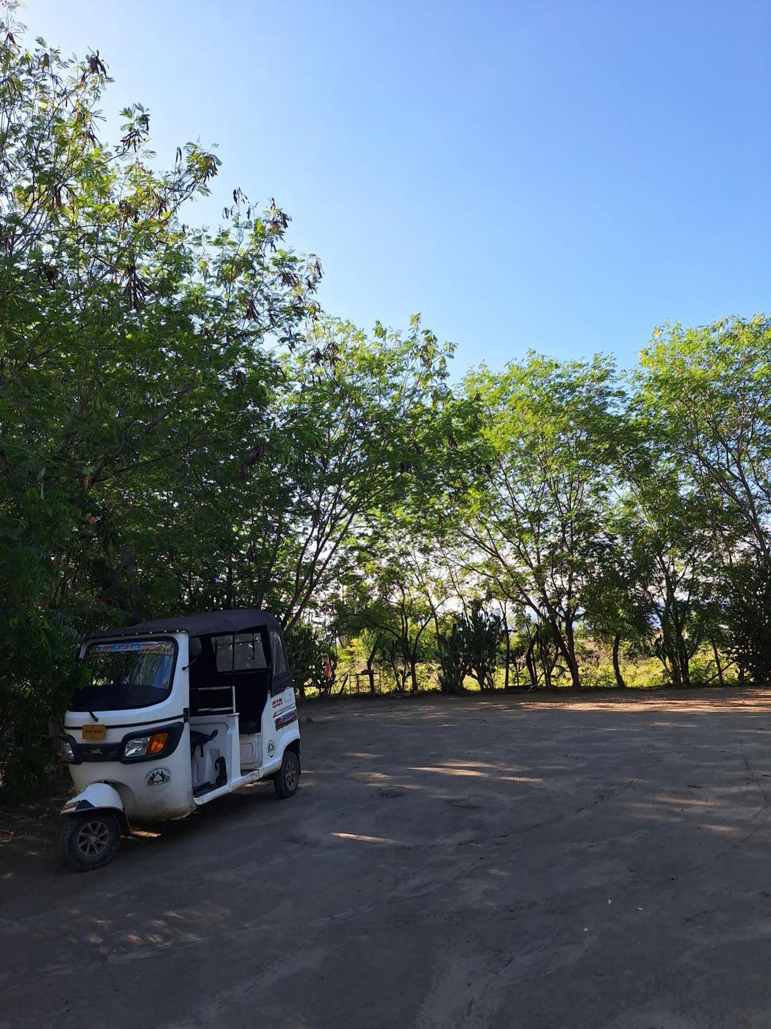 Alojamiento Casa De Campo Los Cactus ビジャビエハ エクステリア 写真