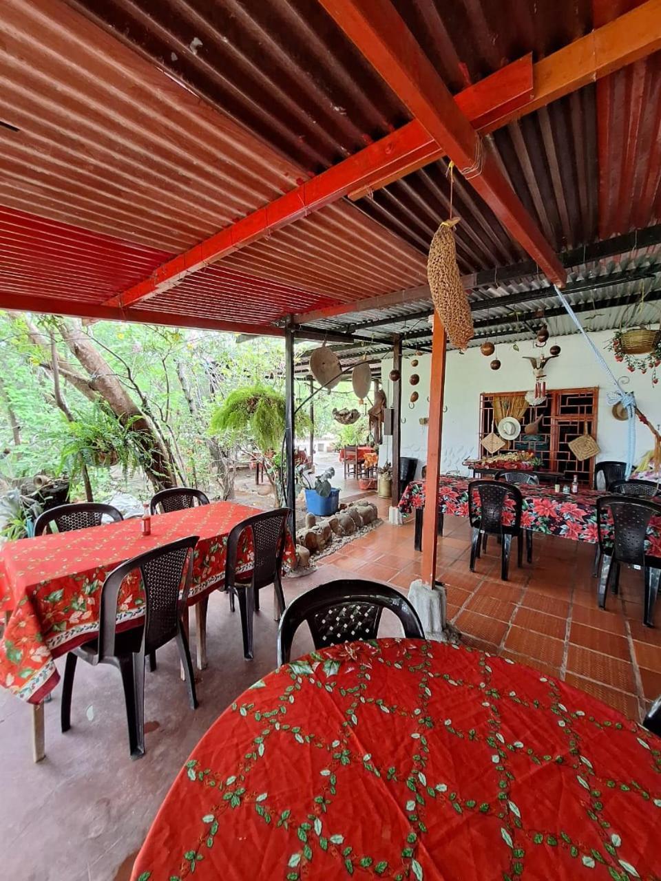 Alojamiento Casa De Campo Los Cactus ビジャビエハ エクステリア 写真