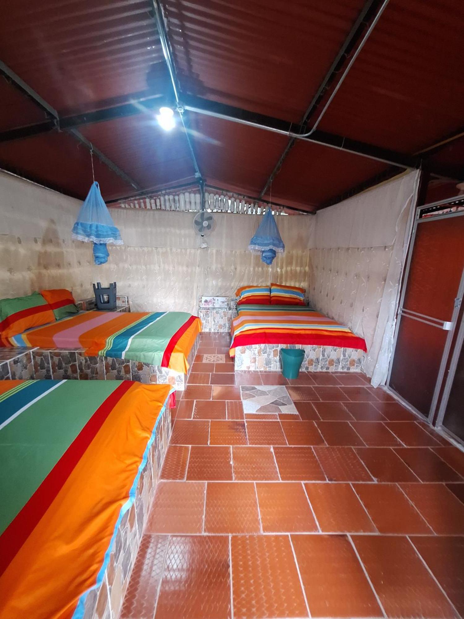 Alojamiento Casa De Campo Los Cactus ビジャビエハ エクステリア 写真