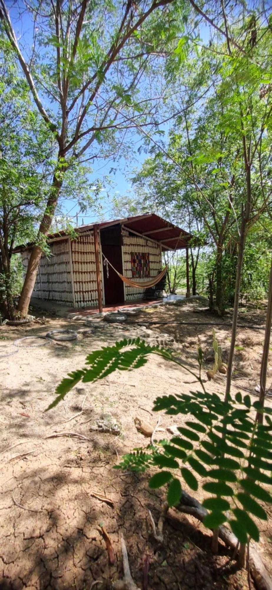 Alojamiento Casa De Campo Los Cactus ビジャビエハ エクステリア 写真