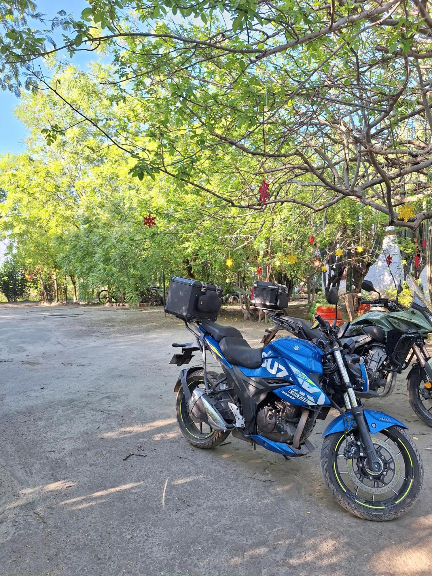 Alojamiento Casa De Campo Los Cactus ビジャビエハ エクステリア 写真