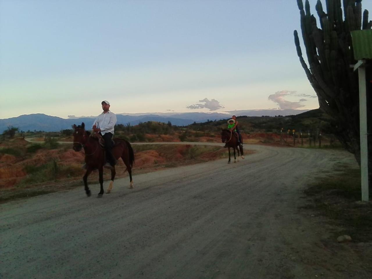 Alojamiento Casa De Campo Los Cactus ビジャビエハ エクステリア 写真