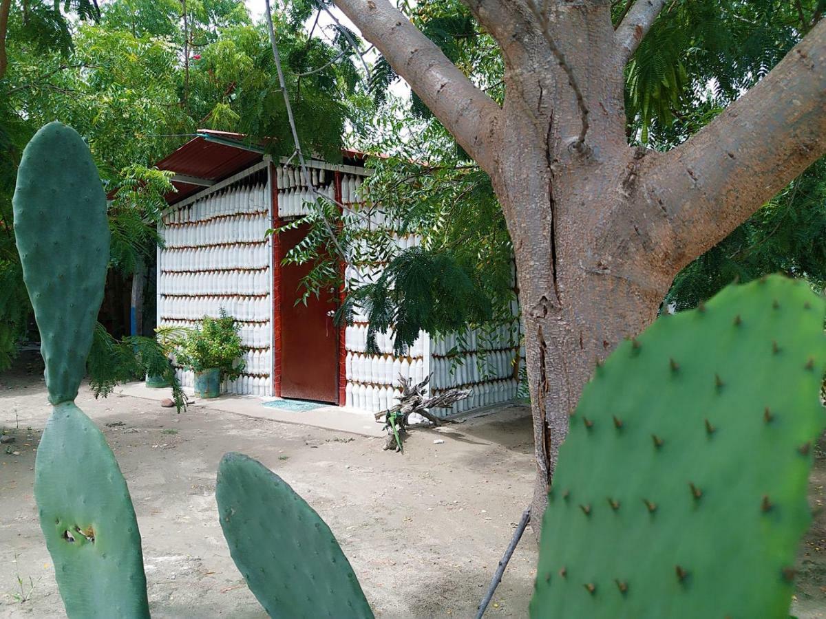 Alojamiento Casa De Campo Los Cactus ビジャビエハ エクステリア 写真
