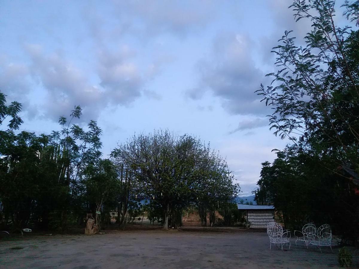 Alojamiento Casa De Campo Los Cactus ビジャビエハ エクステリア 写真