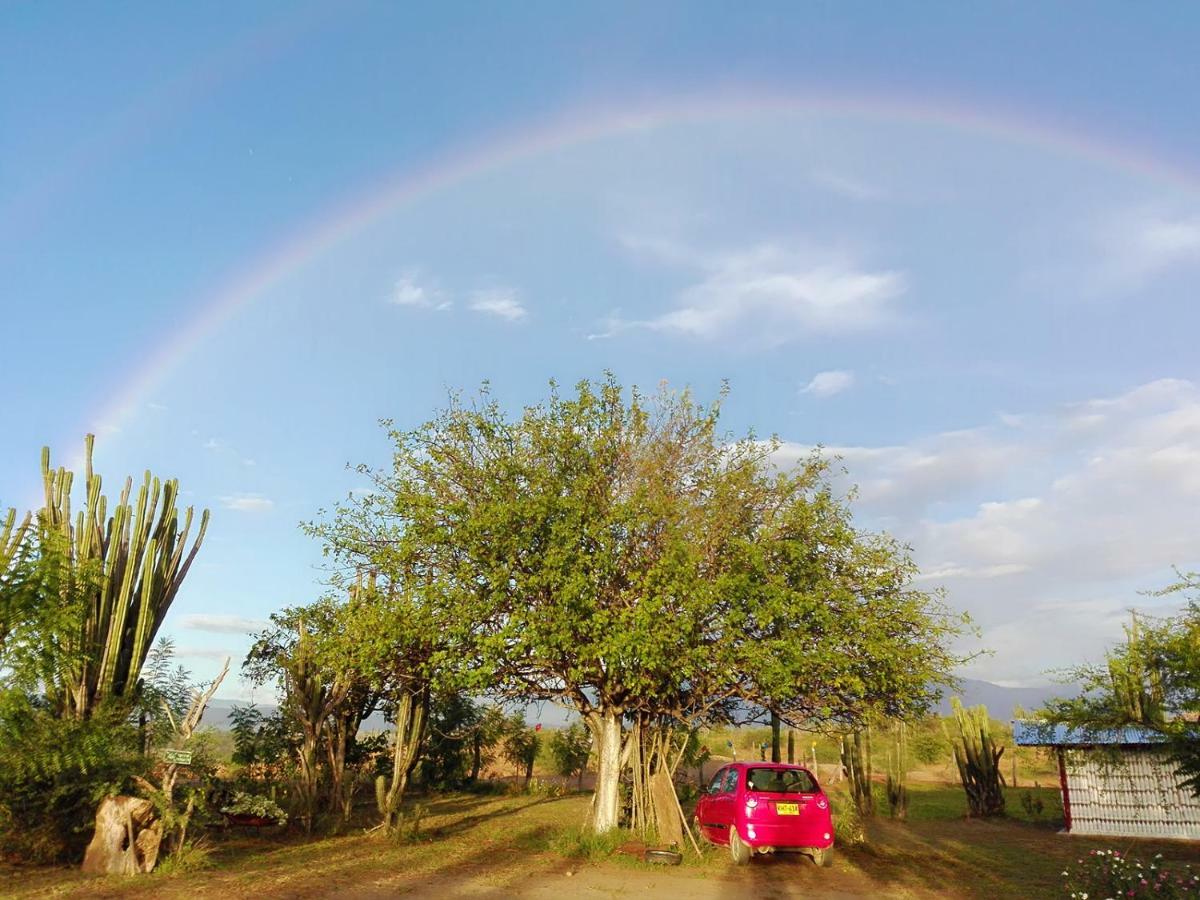 Alojamiento Casa De Campo Los Cactus ビジャビエハ エクステリア 写真